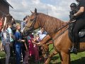 Den deti 2017   100